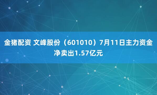 金猪配资 文峰股份（601010）7月11日主力资金净卖出1.57亿元