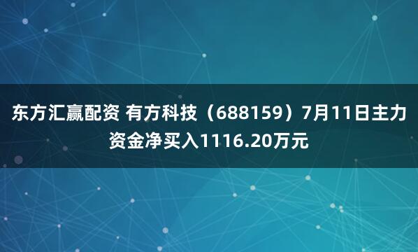 东方汇赢配资 有方科技（688159）7月11日主力资金净买入1116.20万元