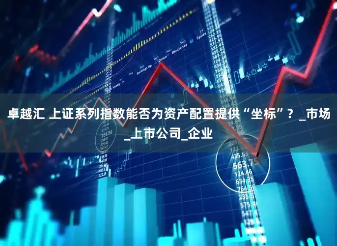 卓越汇 上证系列指数能否为资产配置提供“坐标”？_市场_上市公司_企业