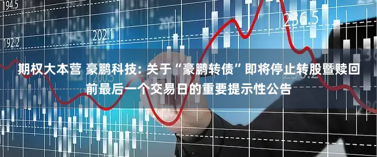 期权大本营 豪鹏科技: 关于“豪鹏转债”即将停止转股暨赎回前最后一个交易日的重要提示性公告