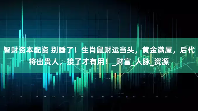 智财资本配资 别睡了！生肖鼠财运当头，黄金满屋，后代将出贵人，接了才有用！_财富_人脉_资源